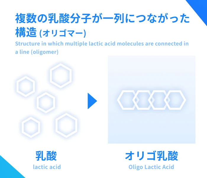 複数の乳酸分子が一列につながった構造 (オリゴマー)（Structure in which multiple lactic acid molecules are connected in a line (oligomer)）